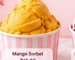 Mango Sorbet serving illustration